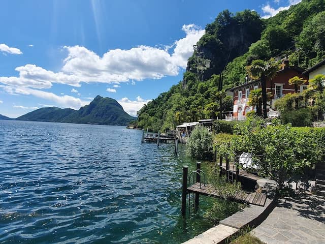 Sentiero dell'olivo - Image 1