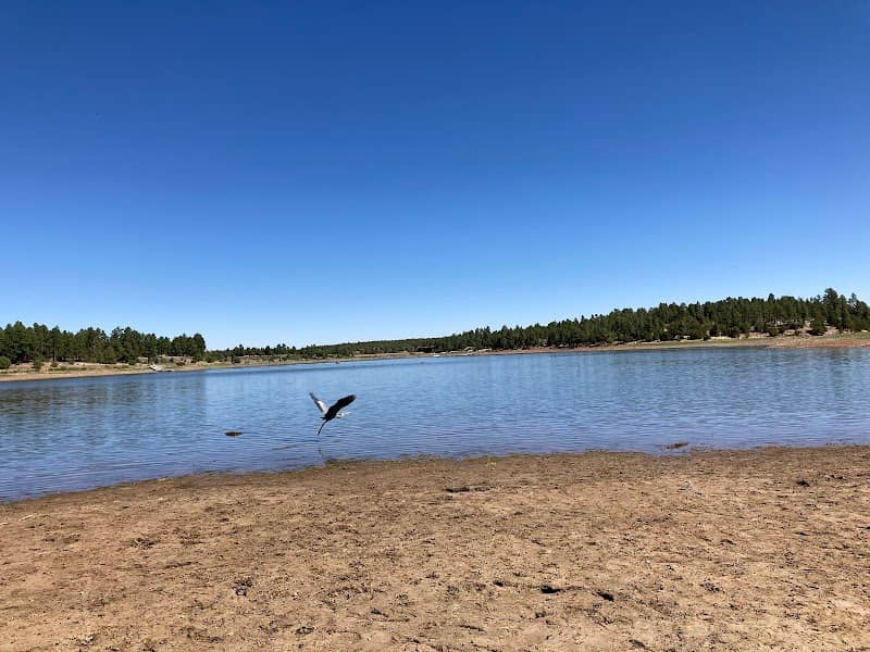 Fool Hollow Lake - Image 1