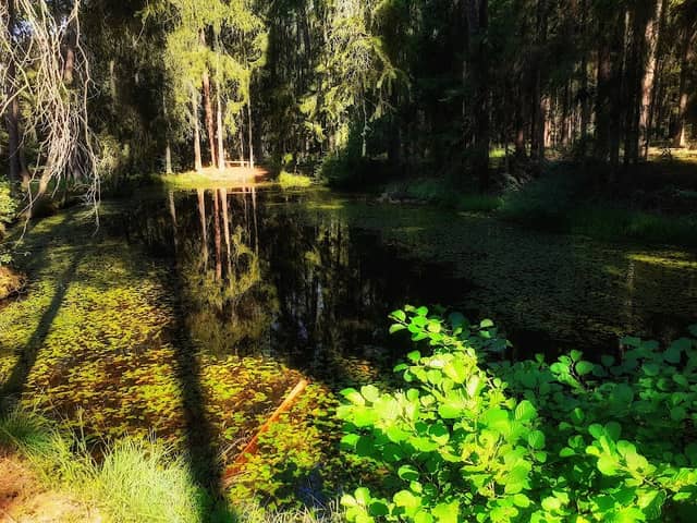 Deglweiher - Image 1
