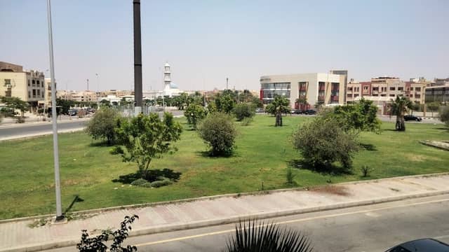 IBIS Garden - Image 1