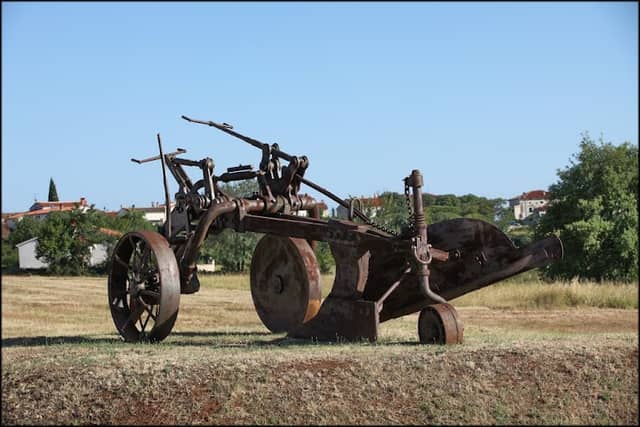 Vrganj - Image 1