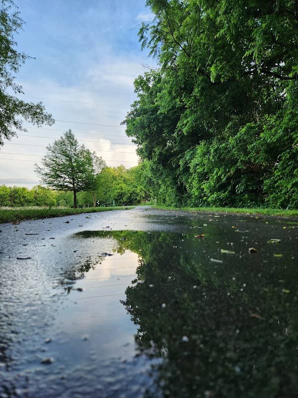 Robinson Park - Image 1