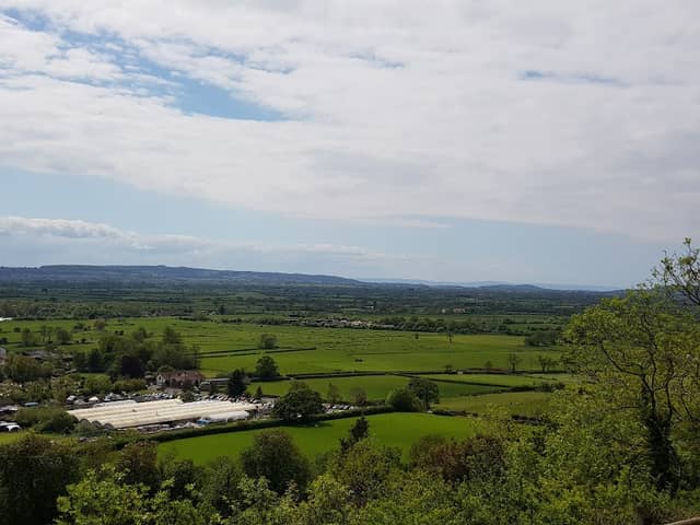 Cadbury Hill Local Nature Reserve - Image 1