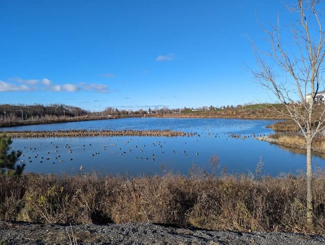Alain-Potvin Park - Image 2