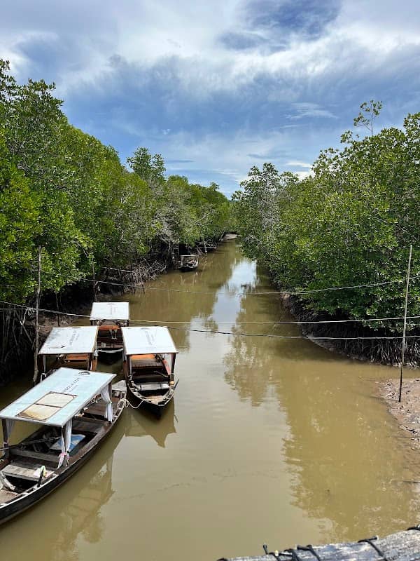 Mangrove tour & Kayak for rent. - Image 1