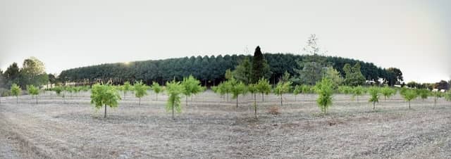 Parco della Vita Monte Porzio - Image 1