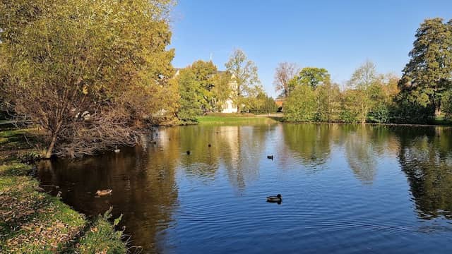 Schlosspark Salder - Image 1