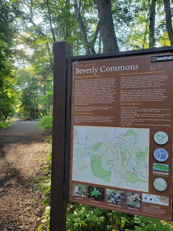 Beverly Commons Conservation Area - Image 2