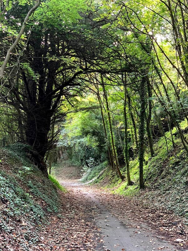 Polhill Bank - Image 2