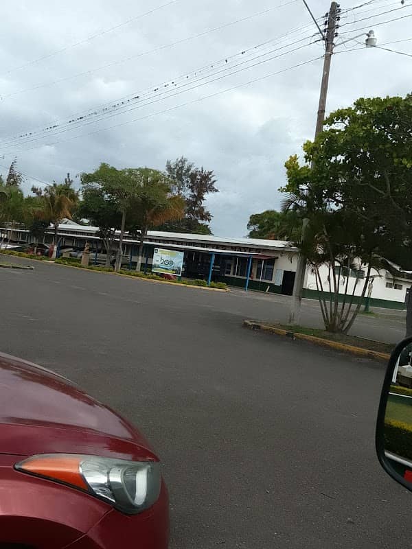 El zapotal - Image 1