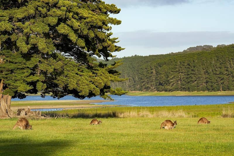 Myponga reserve - Image 1