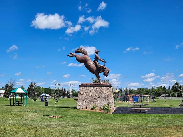 Lions Centennial Park - Image 1