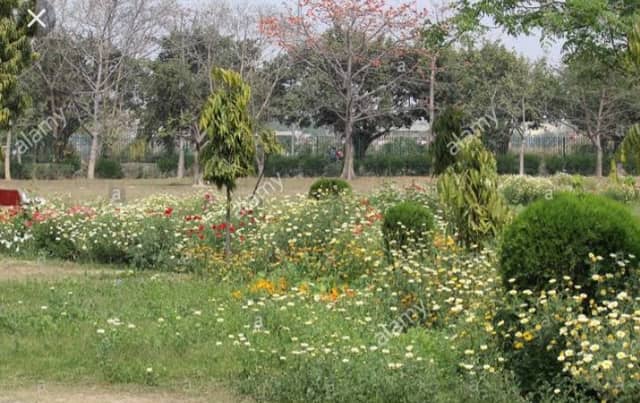 Nanak Nagri Park - Image 1