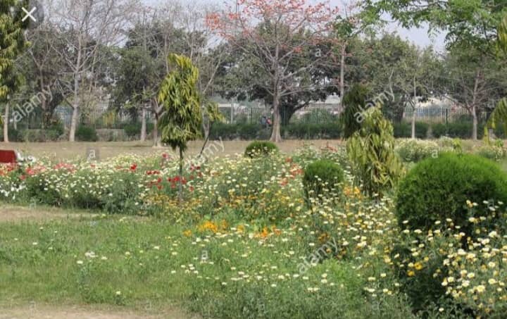 Nanak Nagri Park - Image 1