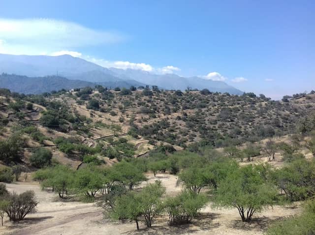 Chilenidad Park - Image 2