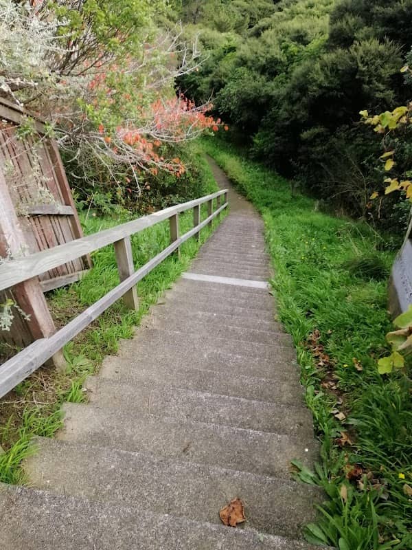 Carvel Scenic Reserve - Image 1