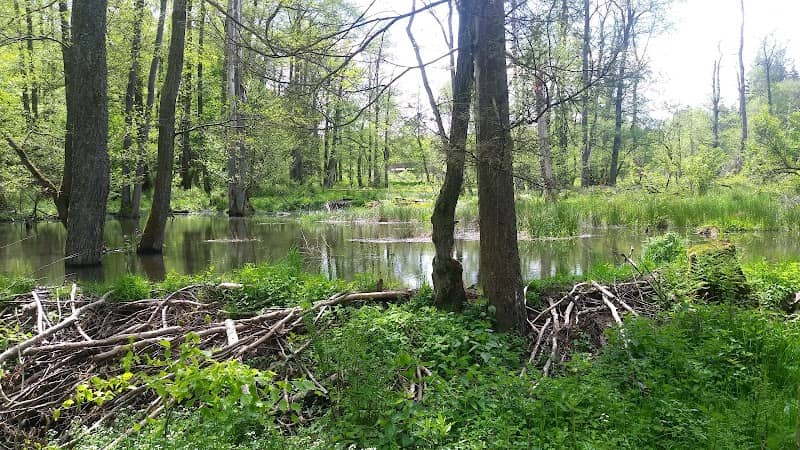 Biber Burg - Image 2