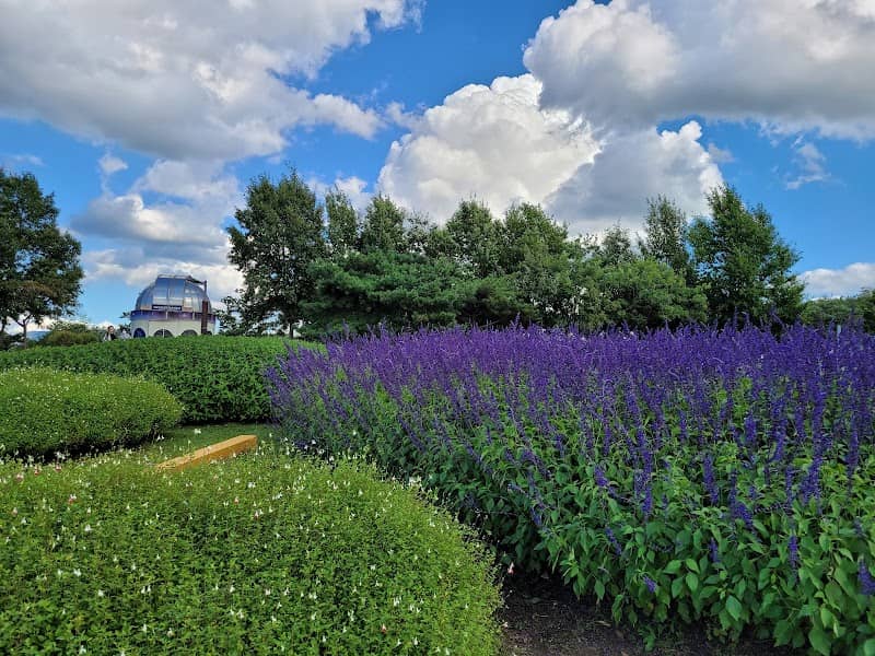 Herb & Astronomy Park - Image 2