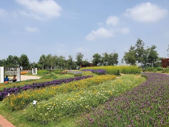 Herb & Astronomy Park - Image 1