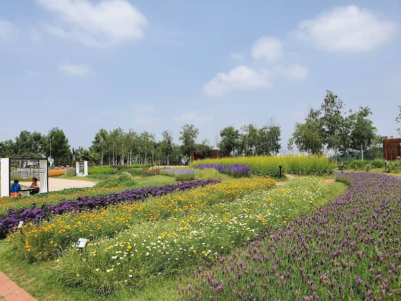 Herb & Astronomy Park - Image 1