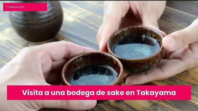 Visita a una bodega de sake en Takayama - Image 1