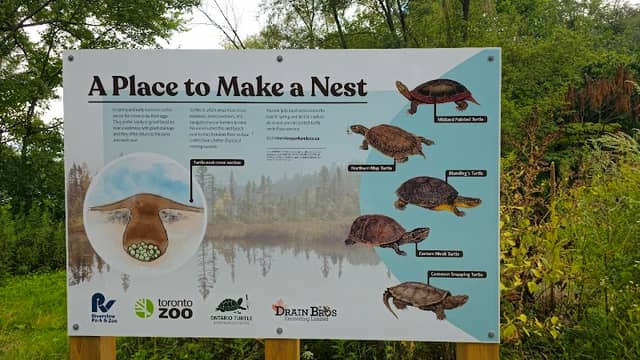 A Place to Make a Nest - Image 1