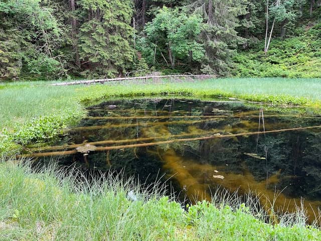 Puchmajerovej jazierko - Image 1