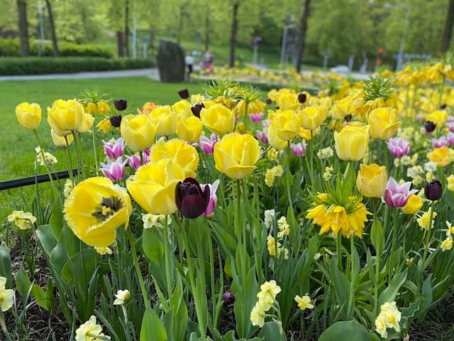 Järnvägsparken - Image 1
