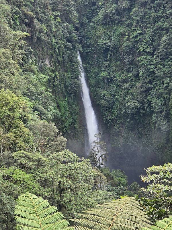Cascada Tatalá - San Miguel de Los Bancos - Image 2