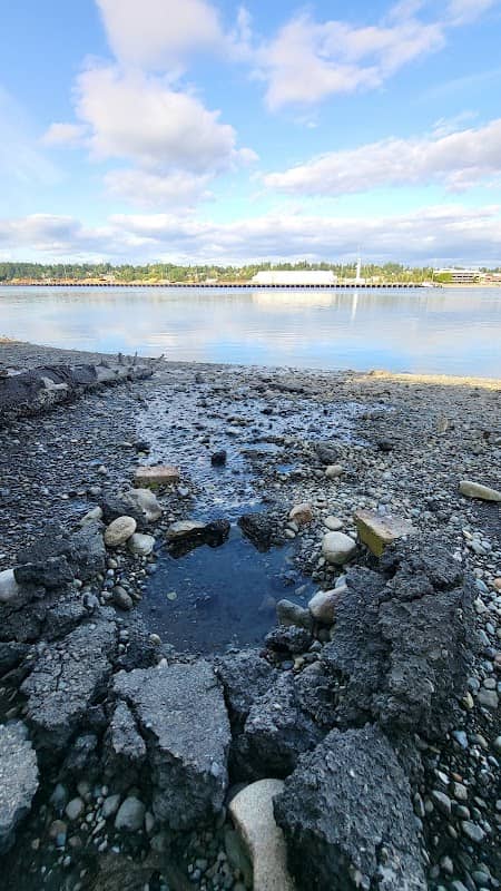 West Bay Well - Image 1