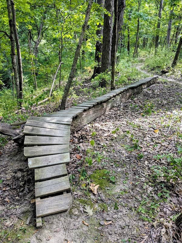 Independence Park - Image 3