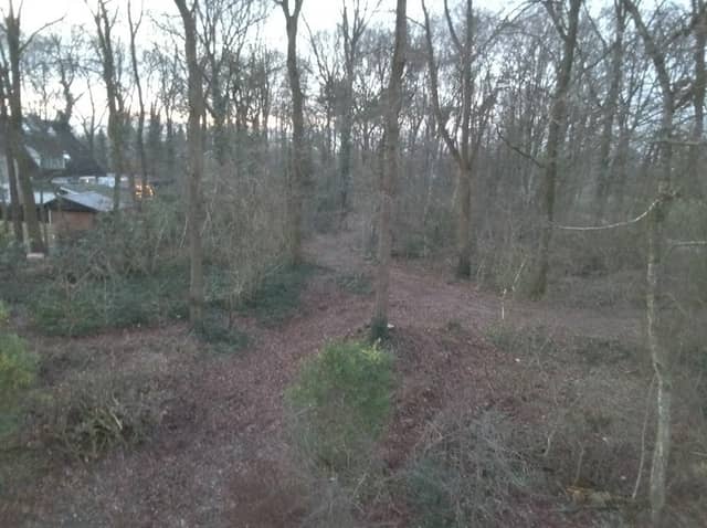 Zelhemse bosje - Image 1