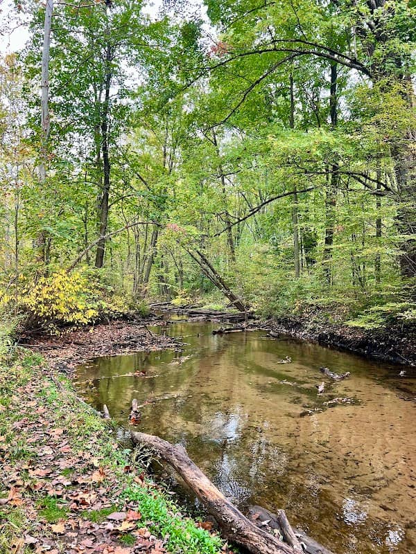 Rabbit River Trails - Image 2