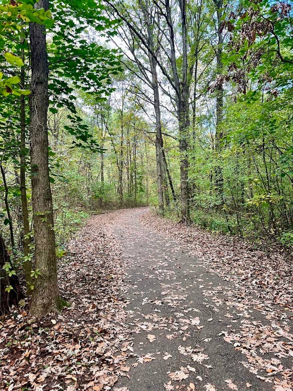 Rabbit River Trails - Image 1