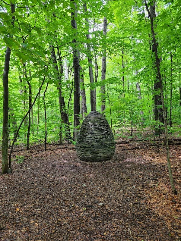 Sapsucker Woods - Image 3