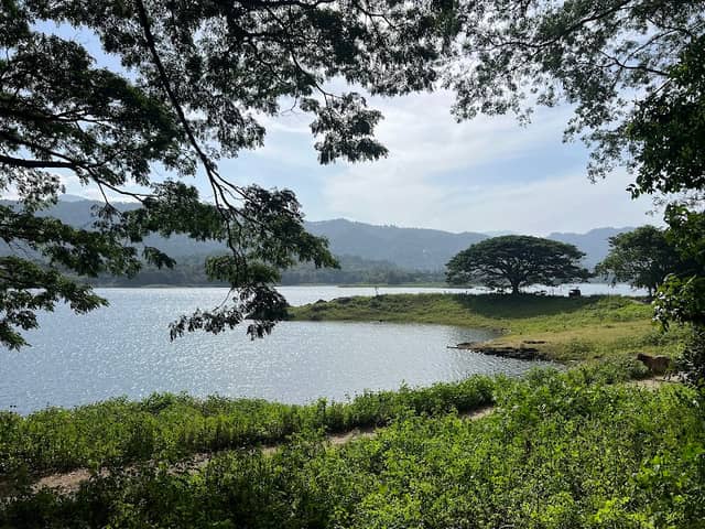 Kumbukkandura River Side View Point - Image 1