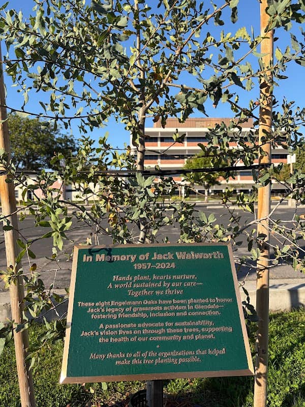 Jack's Trees - Image 1