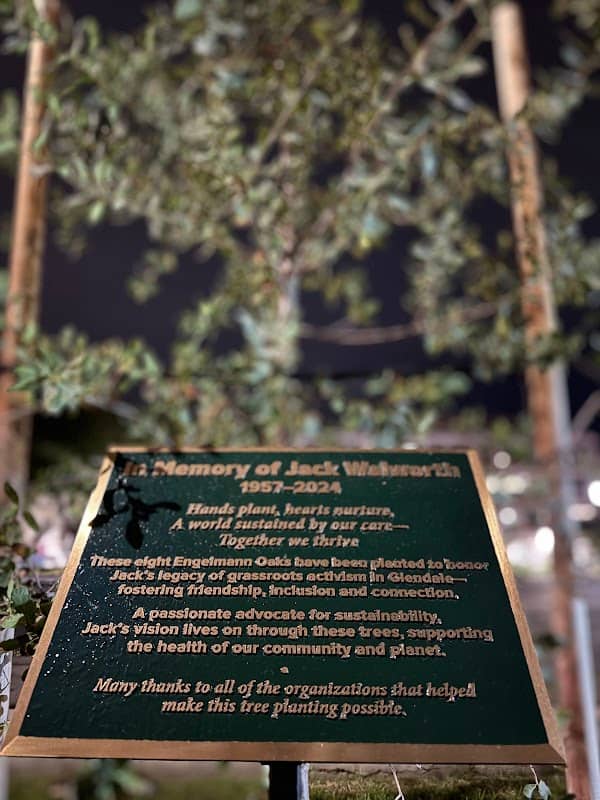 Jack's Trees - Image 2