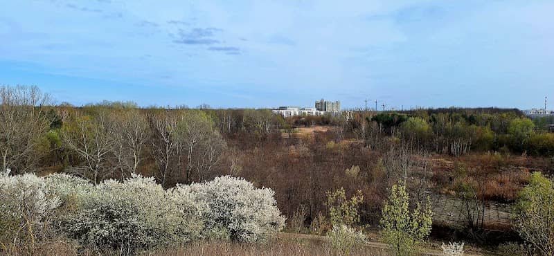 Górka biegowa, im. Dojo na Belliniego - Image 1