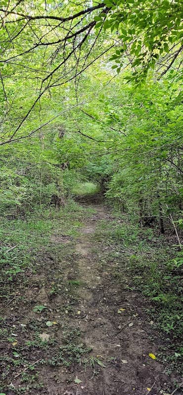 Deer Creek State Park Marsh Walk Trailhead - Image 2