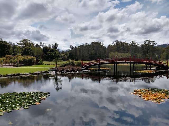 North Coast Regional Botanic Garden - Coffs Harbour - Image 2
