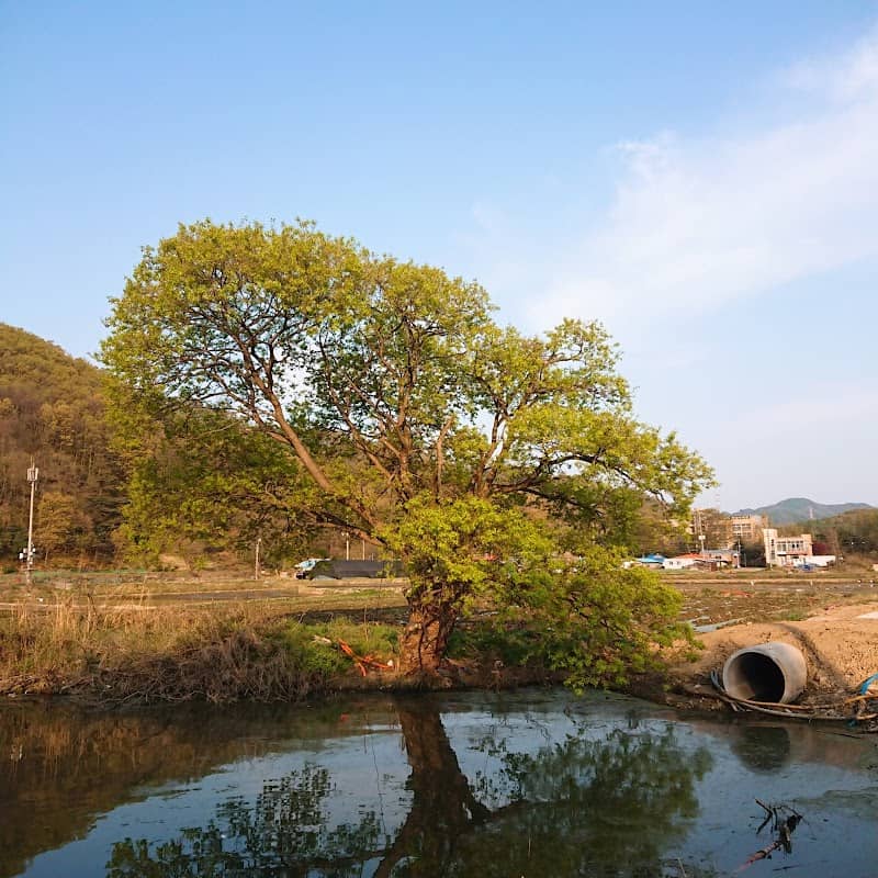 박두진문학길 - Image 1