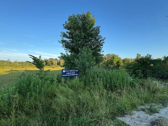 Hubbard Brook Wildlife Management Area - Image 2
