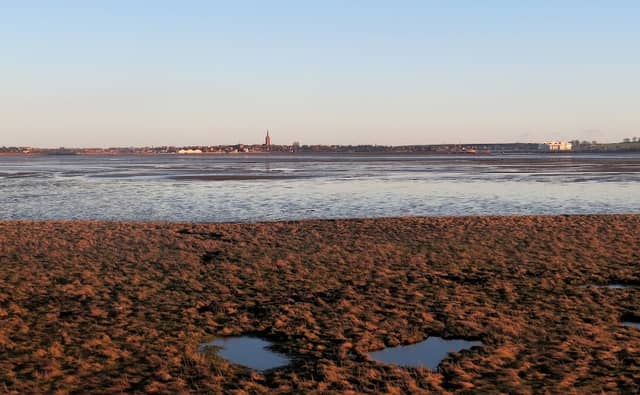 Montrose Basin, Wigeon Bird Hide - Image 1