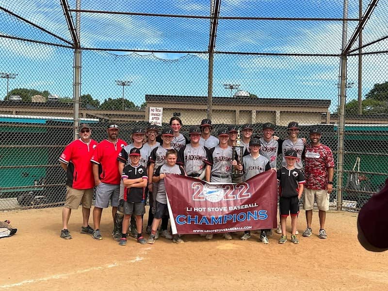 Black Hawks Baseball - Image 1