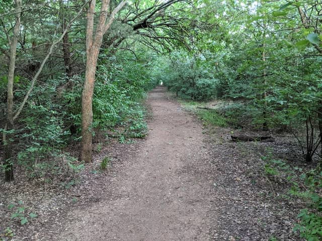 Sutton Wilderness Trail Park - Image 2
