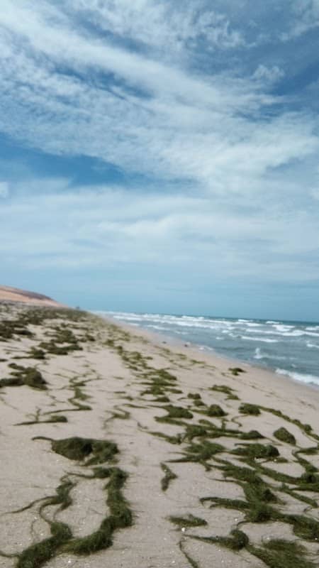 Praia de Jericoacoara CE - Image 2