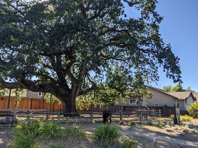 Shadetree Park - Image 1