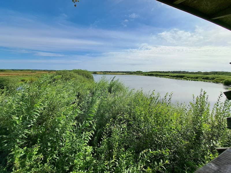 Aussichtsturm Polder Glies - Image 1