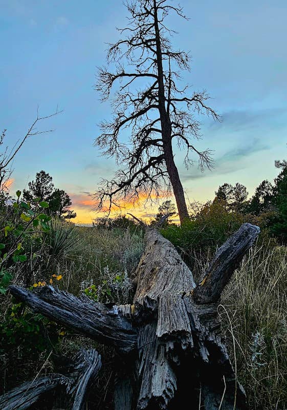 Discovery Park Trail (Trailhead) - Image 2